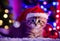 Chistmas Scene - A cute kitten wearing a red Santa Claus hat on its head