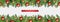 Chistmas tree branches holiday seamless border set for bottom and top side