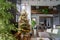 chistmas tree holiday celebration in a modern home with natural vibe