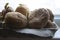 Chitting potatoes in front of windowsill to prepare for spring planting