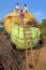 CHITTORGARH, RAJASTHAN, INDIA - DECEMBER 13, 2017: Farmers loading corn stover on a truck in the countryside around Chittorgarh