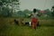 Chitwan Nepal, 01 July 2020: Nepali woman taking care of her goats from Gobreni village Chitwan Nepal .