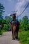 CHITWAN, NEPAL - NOVEMBER 03, 2017: Unidentified man riding elephant in Chitwan National Park