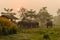 CHITWAN, NEPAL - OCTOBER 27, 2014: Elephants waiting for Elephant safari tour on the lawn Chitwan National Park.Chitwan National