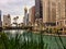 Chive blossoms in the foreground of the Chicago Loop cityscape and Michigan Avenue.