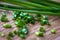 Chives on wooden cutting board