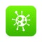 Chlamydia virus icon green vector