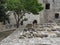 Chlemoutsi Castle (Chateau Clermont) - cannonballs in courtyard - Peloponnese