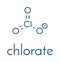 Chlorate anion, chemical structure. Skeletal formula.