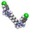 Chlorhexidine antiseptic molecule. Atoms are represented as spheres with conventional color coding: hydrogen (white), carbon (grey