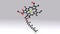 Chlorophyll B structure