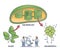 Chlorophyll and chloroplast from plant to chemical formula outline diagram.