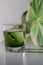 Chlorophyll extract is poured in pure water in glass against a white grey background with green leaf