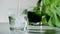 Chlorophyll extract is poured in pure water in glass against a white grey background with green leaf