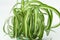 chlorophytum comosum, spider house plant evergreen perennial flowering plant