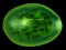 Chloroplast