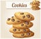 Choc chip cookies 2. Detailed vector icon