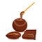 Chocolate ball icon cartoon . Cocoa bean