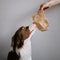 Chocolate border collie dog sniffing a treat bag