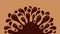 Chocolate brown splash blob, drop brown liquid splash, icon splashing chocolate blob droplet, illustrations cocoa brown liquid