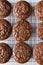 Chocolate brownie cookies on a cookie rack