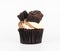 Chocolate brownie cupcake isolated