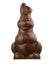 Chocolate bunny