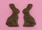 Chocolate Bunny Love
