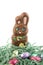 Chocolate Bunny In Nest