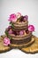 Chocolate cake on the tree trunk stands decorated with macaroons, berries, and flowers