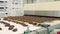 Chocolate candies lying on conveyor. Candy factory.