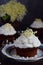 Chocolate capcakes with vanilla cream sprinkled with white chocolate and elderberry flowers. Vintage style. Copy space