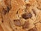 Chocolate chip cookie background