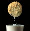 Chocolate chip cookie being dipped into a fresh glass of milk