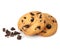 Chocolate chip cookie isolated