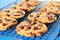 Chocolate chip cookies on rack blue background