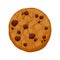 Chocolate chips cookie vector illustration