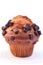 Chocolate chunk muffin