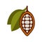 Chocolate Cocoa Beans Icon on White Background. Vector
