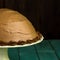 Chocolate Coffee Hazelnut Half Sphere Cake With Decorative Piping