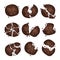 Chocolate Cookie Crumbs and Chips Isolated On White Background Vector Set