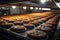 Chocolate cookie factory line crafts delicious treats with precision and mouthwatering efficiency