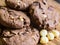 Chocolate Cookies with hazelnuts on wooden background