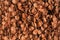 Chocolate cornflakes full frame above. Brown choco cereals backdrop pattern