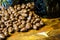 Chocolate Covered Coffee Beans with Coffee Mug up close