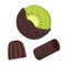 Chocolate-covered kiwi fruit fresh fruit dipped in thick chocolate candy bars. A set of chocolates. Vector illustration.