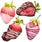 Chocolate-covered strawberries. Isolated elements. Watercolor illustration. Valentine`s Day.