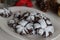 Chocolate Crinkle Cookies. A double chocolate cookies with a gooey fudgy brownie texture at the centre. Rolled in powdered sugar