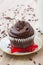 Chocolate cupcake