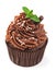 Chocolate cupcake with fresh mint isolated on